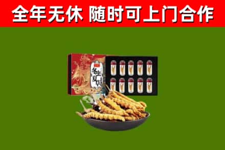 南昌区烟酒回收冬虫夏草礼盒.jpg