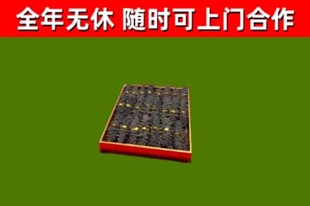 南昌区回收海参